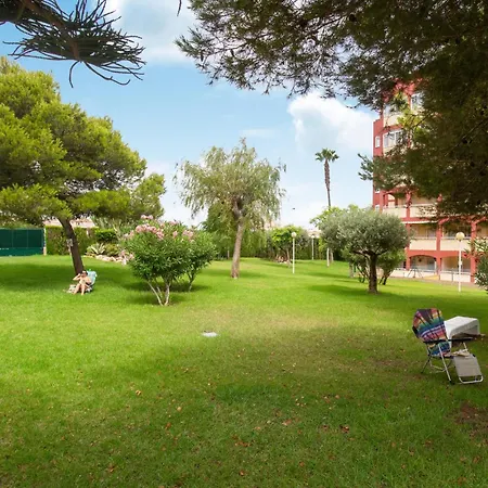 Awesome In Torrevieja