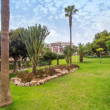 Awesome In * Torrevieja